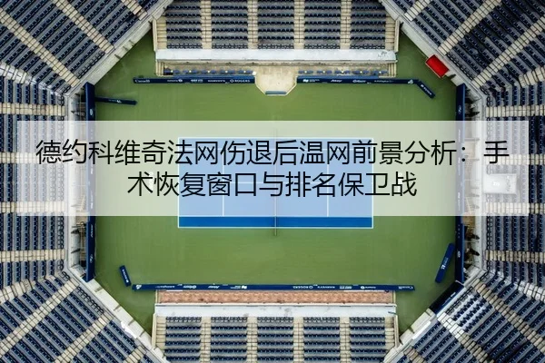 de-yue-ke-wei-qi-fa-wang-shang-tui-hou-wen-wang-qian-jing-fen-xi-shou-shu-hui-fu-chuang-kou-yu-pai-ming-bao-wei-zhan-2-867.jpg