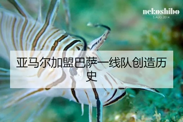 ya-ma-er-jia-meng-ba-sa-yi-xian-dui-chuang-zao-li-shi-2-895.jpg
