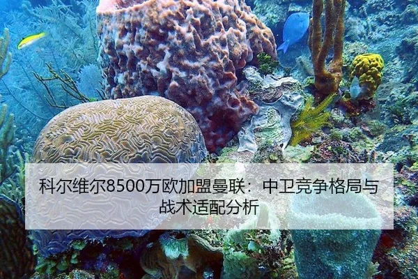 科尔维尔8500万欧加盟曼联：中卫竞争格局与战术适配分析